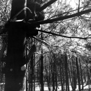 04-24-1971 Troop 121-Timber Stand Improvement-Camp Avery Hand #3-Website