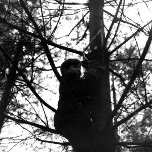 04-24-1971 Troop 121-Timber Stand Improvement-Camp Avery Hand-Steve Brabel-Website