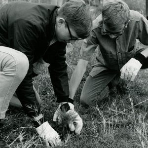 04-29-1967 Templed Hills-First Baptist Church of Elyria-tree planting project-website