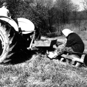 05-06-1963 Tree Planting #3-website