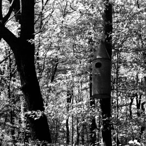 05-19-1966 Wood duck box at Kingwood Center-website