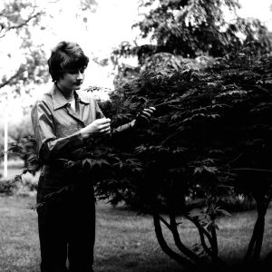 05-25-1973 Kenneth Funk Farm daughter Melody examines Japanese red maple in shade tree grove-website