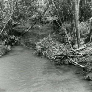 06-04-1984 Channel obstructions and potential obstructions on the Black Fork of Mohican River. Butler Twp.-website