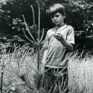 06-05-1971 Tod Mills with rapidly growing white pine at the Rural Life Center-website