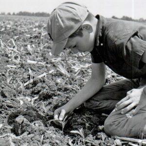 06-09-1967Ted Ault planing minimum tillage corn on father’s farm (Kenneth Ault)0001