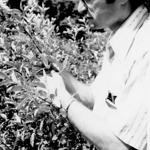 06-10-1975 Dennis Hoog JCS Biologist Rural Life Center-website