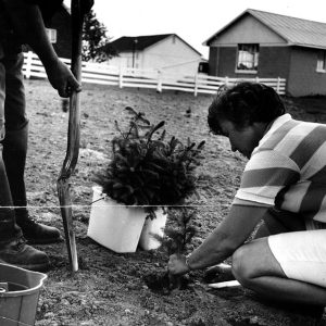 06-11-1969 William and Doris Enderby plant a 4 row windbreak at their residence NE of Shiloh-website