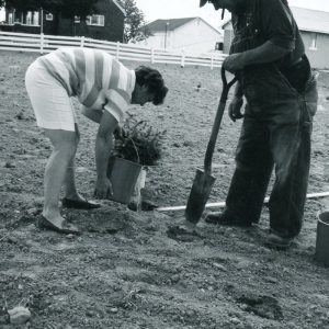 06-11-1969 Wm & Doris Enderby windbreak-website