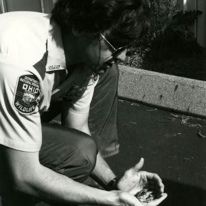 06-13-1980 Game protector Mark Hersman holds a pheasant peep, one of many distibuted to local landowner for restocking-website