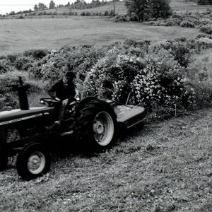 06-17-1972 John Ramsey prepares to eradicate multiflora rose from pasture-website