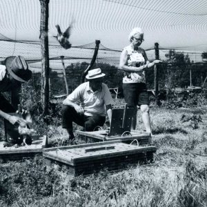 06-24-1980 Pheasant release. Mark Hersman. Sportsman Club-website