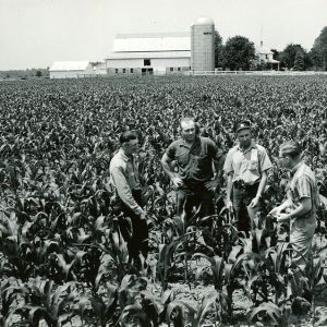 06-28-1962 L to R Roscoe Major, Chester Jones, Lowell Strauch, Robert Hilliard, WUC looking at corn which is result of___-website
