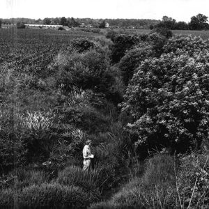 06-28-1962 Marsh Run #2-website
