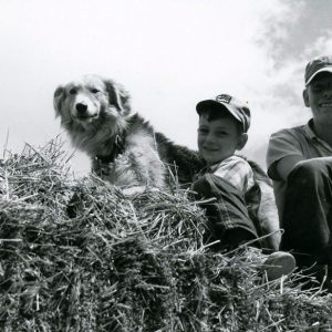 07-08-1966 Kenneth Ault sons, Ted & Tom in hay wagon#1-website