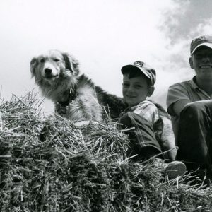 07-08-1966 Kenneth Ault sons, Ted & Tom in hay wagon#2-website