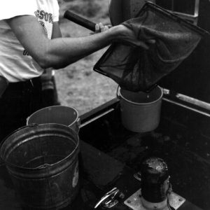 07-09-1964 Fish Delivery Martin Schwebel-website