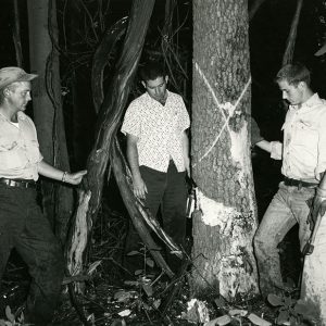 08-01-1963 J.H.Garber,owner,Jack Basinger,Forester,Paul Hammond & Eric Kindig ,contractors-Woodland Improvement Special Project-website