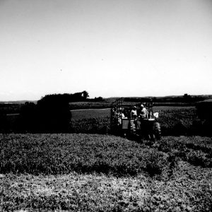 08-03-1976 Spreng Ayers No Til Tour Ashland Summer Supervisors School Tiur-website