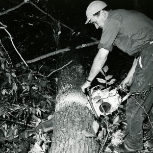 09-03-1965 N.T. Boreman. Timber Harvest. Earl Oaklief-website