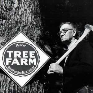 10-05-1963 Guy Taylor recognized by Ohio Forestry Assoc. as certified tree farmer on 01-04-1962-0001