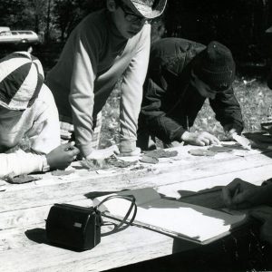 10-17-1970 Forest Leaf Identification. Bill Brooke, Dave Perl,Norm Phalor,Ed Brado,Adult-website