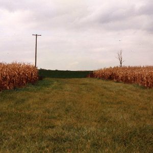 1999 Cooperator of year Dean Cook Farm#1 -website