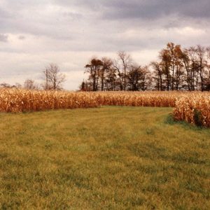 1999 Cooperator of year Dean Cook Farm#14-website