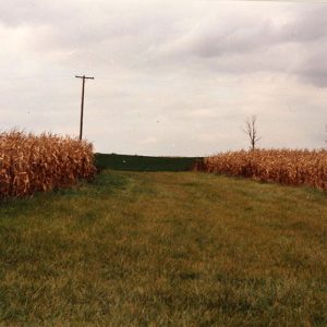 1999 Cooperator of year Dean Cook Farm#15-website