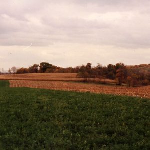 1999 Cooperator of year Dean Cook Farm#3-website