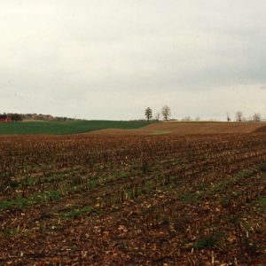 1999 Cooperator of year Dean Cook Farm#4-website