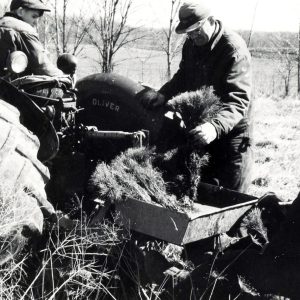 Boy on tractor & two men planting trees-0001