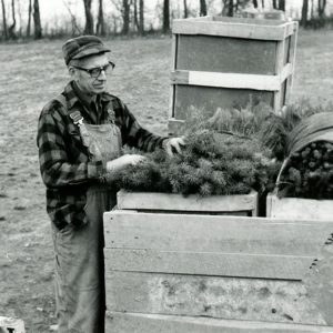 Claude Shickling looking at trees in containers #2-website