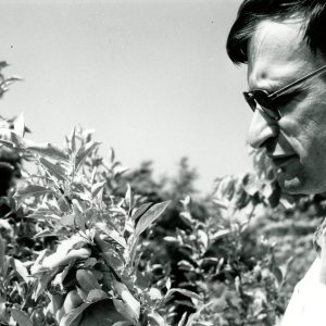 Dennis Haag, SCS Biologist with Autumn Olive-0001