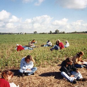 Land Judging#3-Website