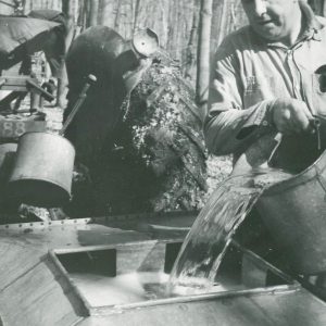 Making Maple Syrup-Using a Tractor to Collect Sap (photo by Robert Mills)-004