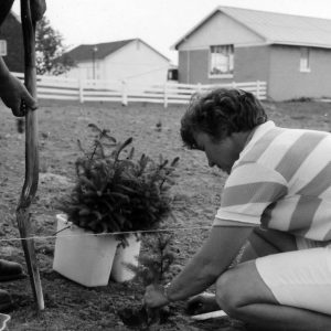 Man and woman planting pine seedlings .Photo by Robert Mills