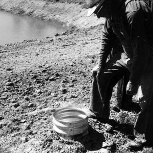 Man looking down into a pipe beside pond .Photo by Robert Mills