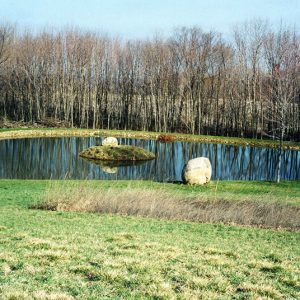 Pond Unknown-website
