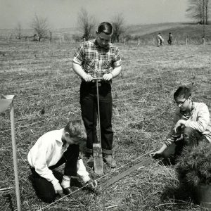 The Scouts worked as tree planting teams. Pictured l-r Russ Haft,Denny Paulo,& Dean Wharton of Ashland Troop 512 as they planted seedling forest trees at camp Avery Hand-Website