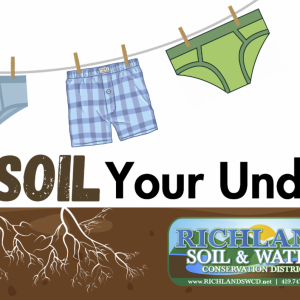 soil-your-undies