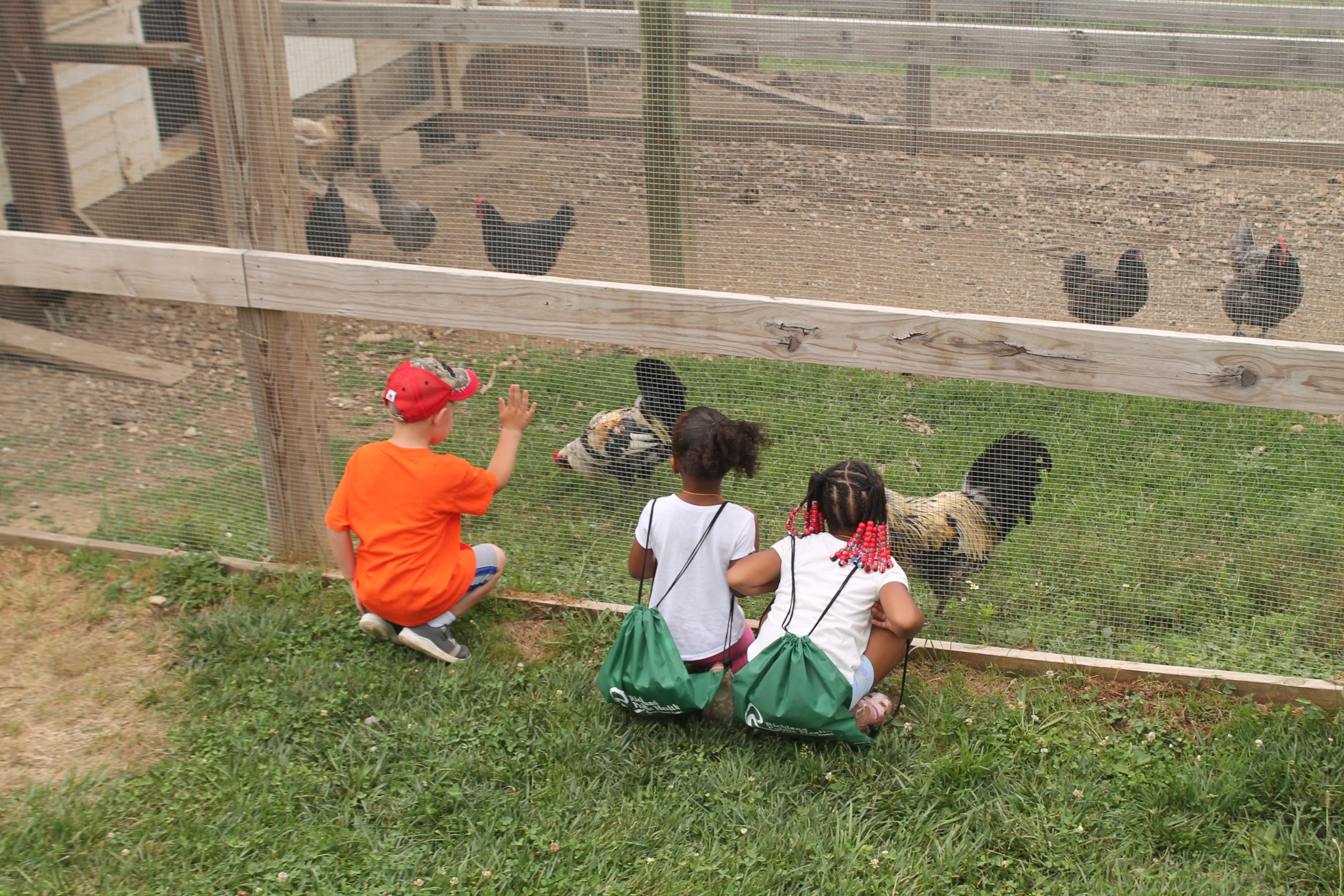 Getting up close with farmlife.