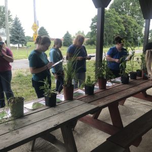 Intern, Cora, Participants, Megan, Hannah