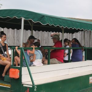 Wagon ride with visitors 5