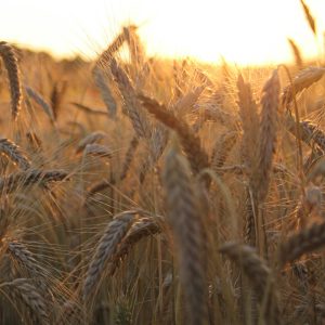 bas-van-den-eijkhof-uLR3FD1kQSM-unsplash-1