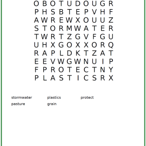 summer-24-wordsearch
