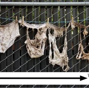 Improve to Healthy Soil Photo