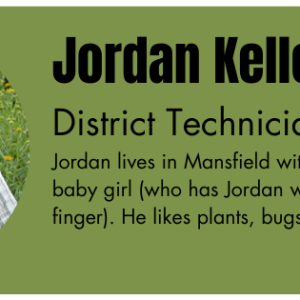 Jordan – Newsletter