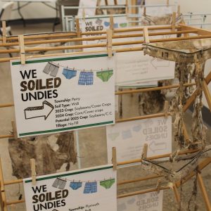 Soil your undies celebration display