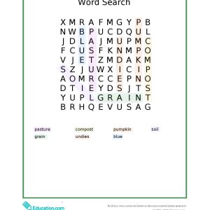 Autumn 24 Wordsearch Answers