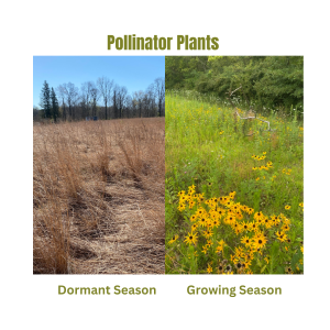 Winter 2025 Newsletter (1)